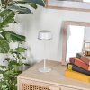 Romdrup Outdoor table lamp, table lamp LED white, 1-light source