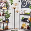 Kyoto floor lamp Light wood, black, 3-light sources