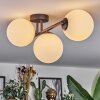 Chehalis ceiling light white, 3-light sources