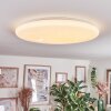 Junor ceiling light LED white, 1-light source, Remote control