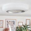 Dayen ceiling light LED silver, 1-light source, Remote control