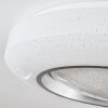 Dayen ceiling light LED silver, 1-light source, Remote control