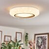 Dayen ceiling light LED silver, 1-light source, Remote control