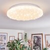 Deral ceiling light LED white, 1-light source, Remote control