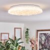 Deral ceiling light LED white, 1-light source, Remote control