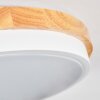 Hiral ceiling light, Panel LED Ecru, white, 1-light source