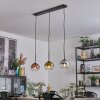 Koyoto hanging light, globe light, pendant light chrome, gold, clear, coppery, Smoke-coloured, 3-light sources