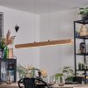 Fugelsta hanging light, pendant light LED black, 1-light source