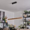 Fugelsta hanging light, pendant light LED black, 1-light source