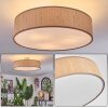 Foggia ceiling light matt nickel, 3-light sources