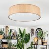 Foggia ceiling light matt nickel, 3-light sources