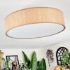 Foggia ceiling light matt nickel, 3-light sources