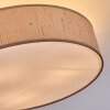 Foggia ceiling light matt nickel, 3-light sources