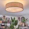 Foggia ceiling light matt nickel, 3-light sources