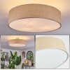 Foggia ceiling light matt nickel, 3-light sources