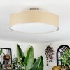 Foggia ceiling light matt nickel, 3-light sources
