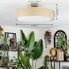 Foggia ceiling light matt nickel, 3-light sources