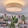 Foggia ceiling light matt nickel, 3-light sources
