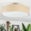 Foggia ceiling light matt nickel, 3-light sources