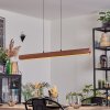 Fugelsta hanging light, pendant light LED black, 1-light source