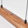 Fugelsta hanging light, pendant light LED black, 1-light source