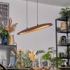 Fugelsta hanging light, pendant light LED black, 1-light source