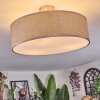 Foggia ceiling light matt nickel, 3-light sources