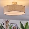 Foggia ceiling light matt nickel, 3-light sources