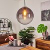 Pendant Light Degevos chrome, 1-light source