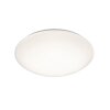 Ceiling Light Reality LUKIDA LED white, 1-light source, Remote control