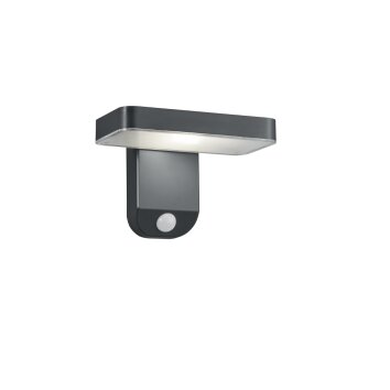 Reality ESQUEL Wall Light LED anthracite, 1-light source, Motion sensor