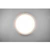 Reality MONTE Ceiling Light LED white, 1-light source, Remote control