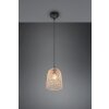 Reality Lovis Pendant Light black, 1-light source