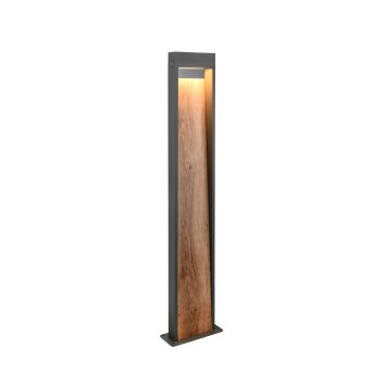 Trio lights SALMON outdoor floor lamp LED Light wood, 1-light source