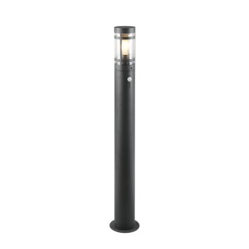 Reality lights PALOMA outdoor floor lamp anthracite, 1-light source, Motion sensor