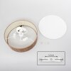 Foggia ceiling light matt nickel, 3-light sources