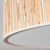 Foggia ceiling light matt nickel, 3-light sources