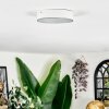 Elmar ceiling light LED white, 1-light source