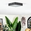 Esmar ceiling light LED black, 1-light source