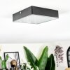 Esmar ceiling light LED black, 1-light source