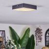 Esmar ceiling light LED black, 1-light source