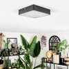 Esmar ceiling light LED black, 1-light source