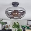 Mertola ceiling light Smoke-coloured, 1-light source