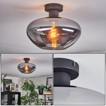 Mertola ceiling light Smoke-coloured, 1-light source