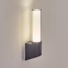 Isara outdoor wall light, wall light LED anthracite, 1-light source