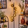 Ripoll floor lamp gold, clear, 6-light sources