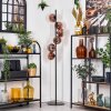 Ripoll floor lamp clear, coppery, 6-light sources