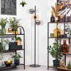 Gastor floor lamp 34 cm Amber, Smoke-coloured, 3-light sources