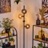 Gastor floor lamp 34 cm Amber, clear, Smoke-coloured, 4-light sources