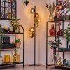 Ripoll floor lamp gold, clear, coppery, Smoke-coloured, 6-light sources